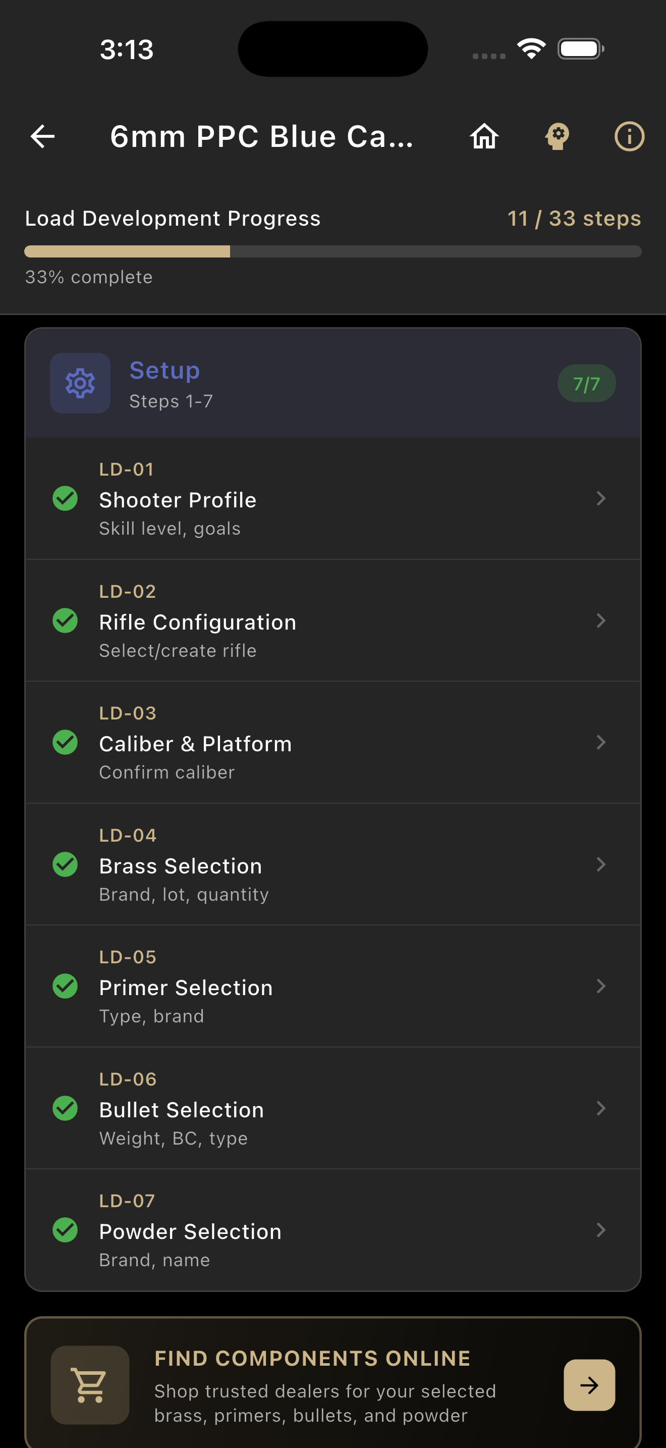 33-Step Workflow